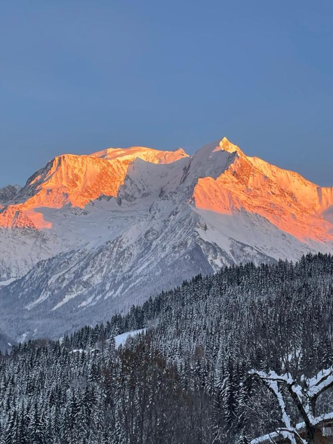 Апартаменты Vue Splendide Mont Blanc Сен-Жерве-Ле-Бэн Экстерьер фото